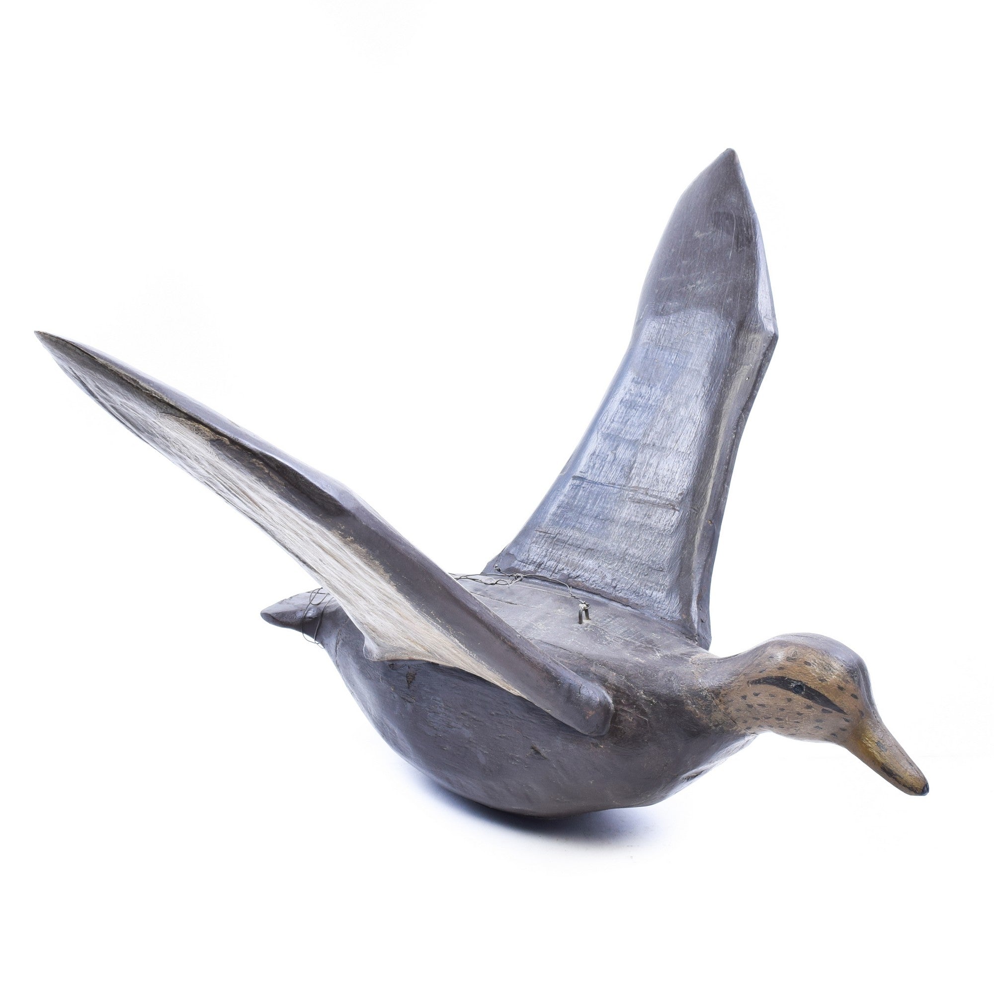 Flying Black Duck Decoy, Sporting Goods, Hunting, Waterfowl Decoy