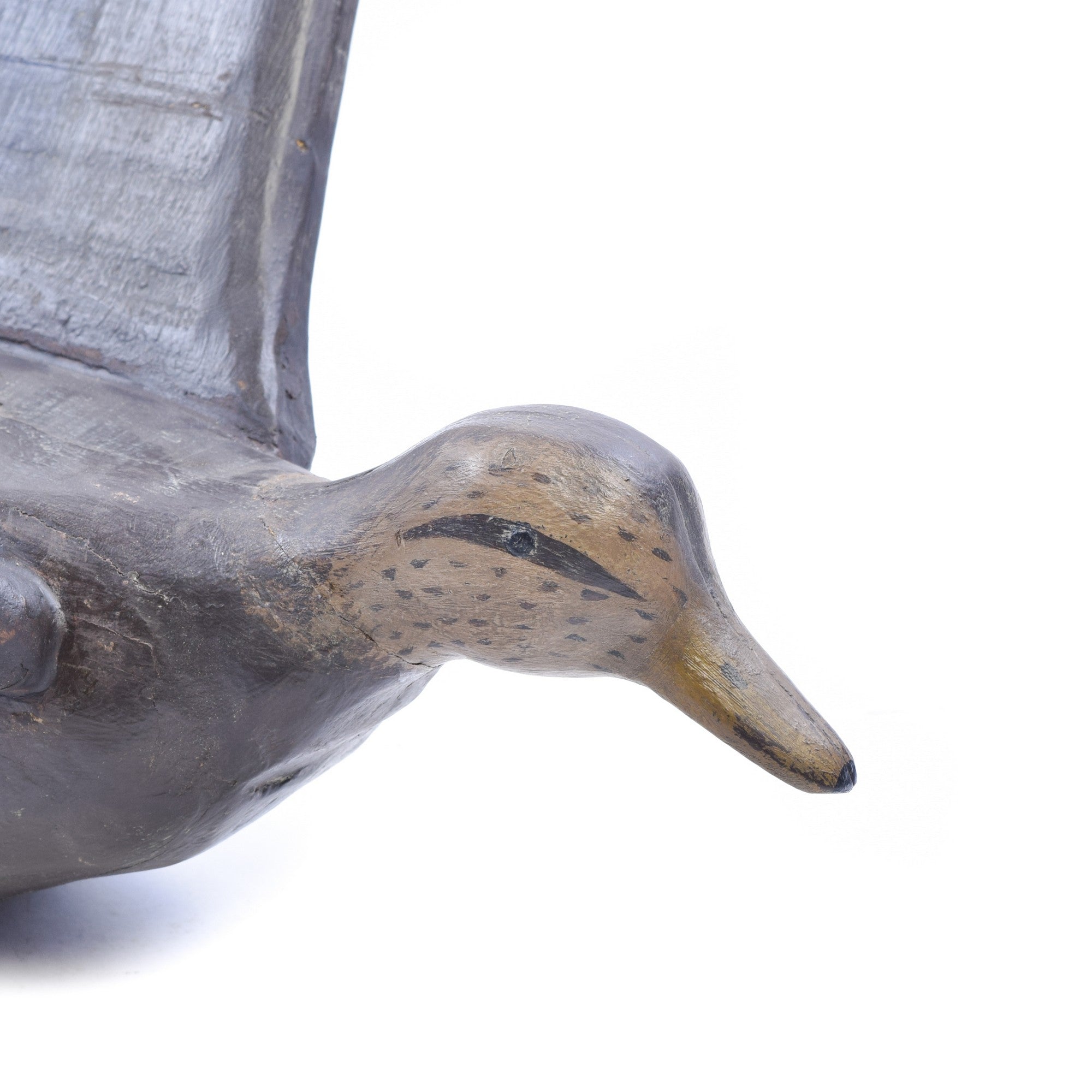 Flying Black Duck Decoy