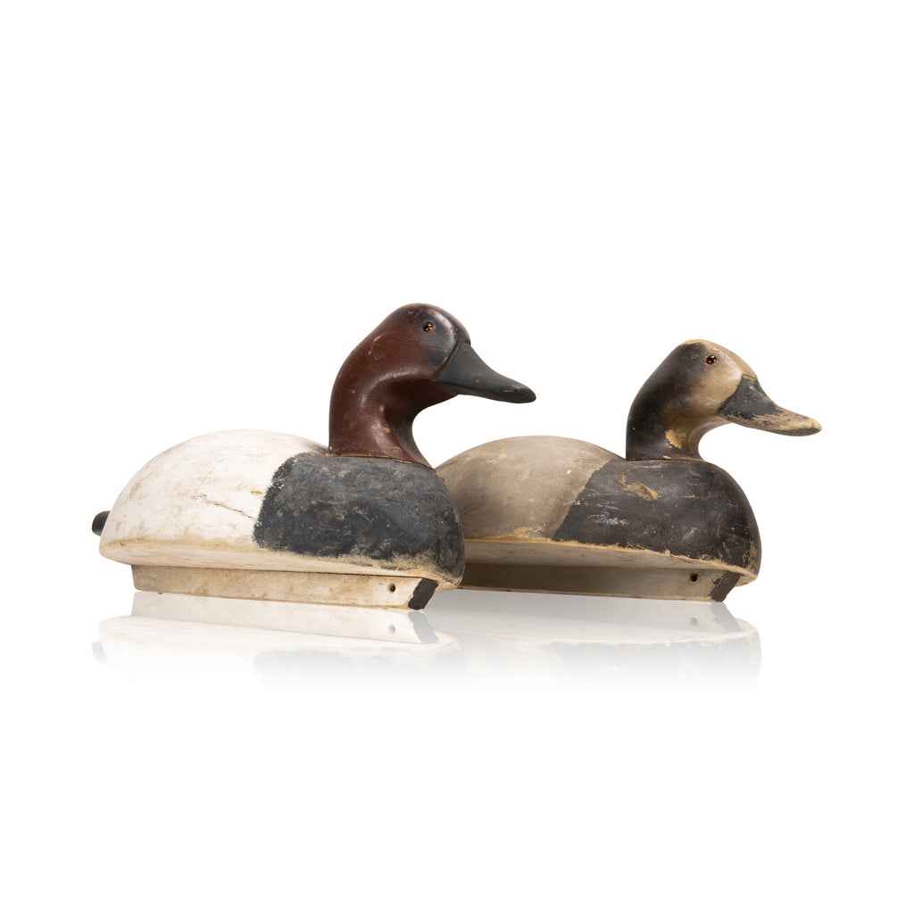 Wildfowler Canvasback Decoy Pair — Cisco's Gallery