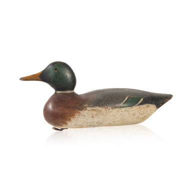 Mason Mallard Drake Decoy, Sporting Goods, Hunting, Waterfowl Decoy