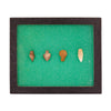 Wyoming Points, Native, Stone and Tools, Arrowhead