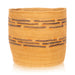 Tlingit Basket, Native, Basketry, Vertical