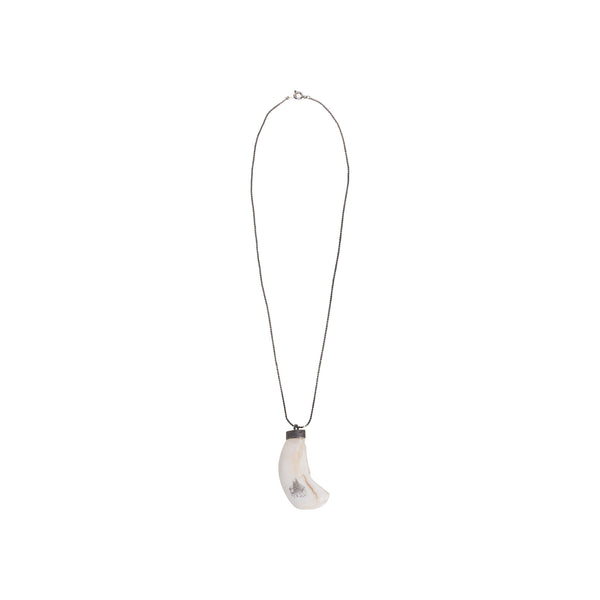 Sperm Whale Tooth Pendant, Jewelry, Necklace, Native