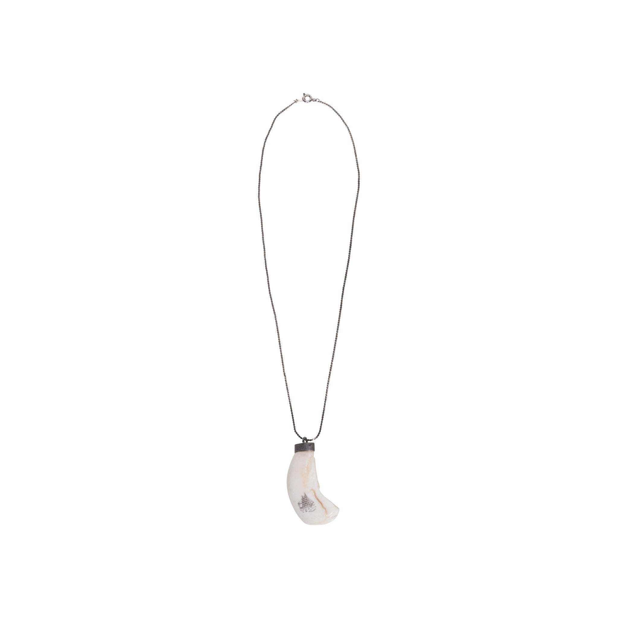 Sperm Whale Tooth Pendant, Jewelry, Necklace, Native