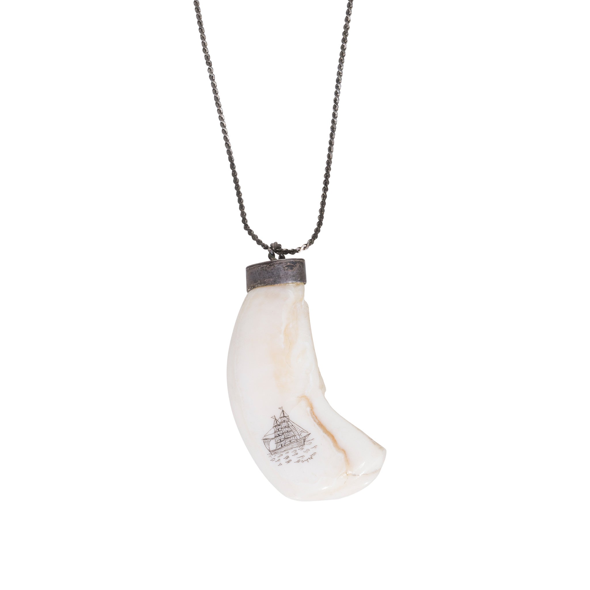 Sperm Whale Tooth Pendant
