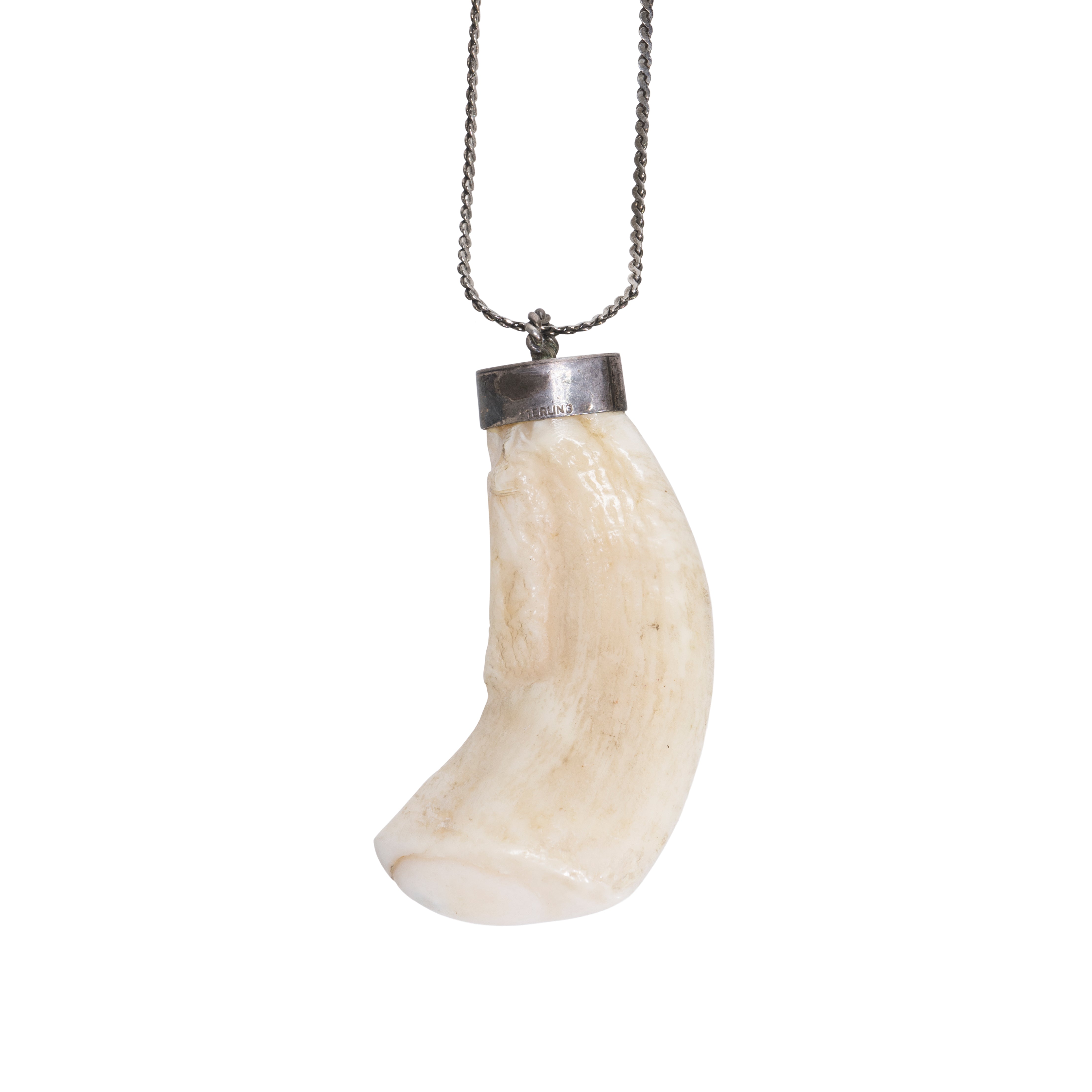 Sperm Whale Tooth Pendant