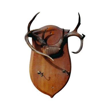 Whitetail Hat Rack, Furnishings, Furniture, Hat Rack