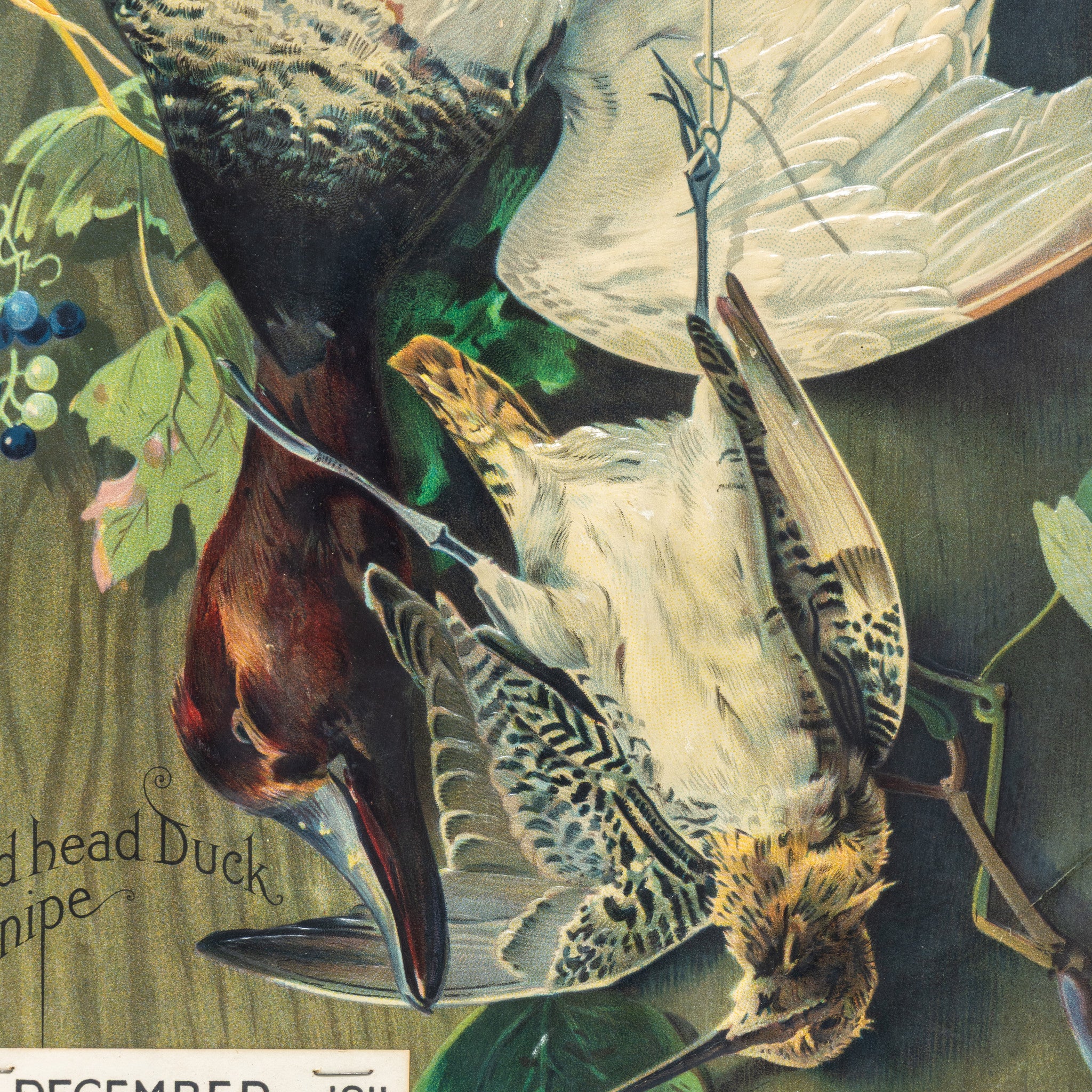 Redhead and Snipe Calendar
