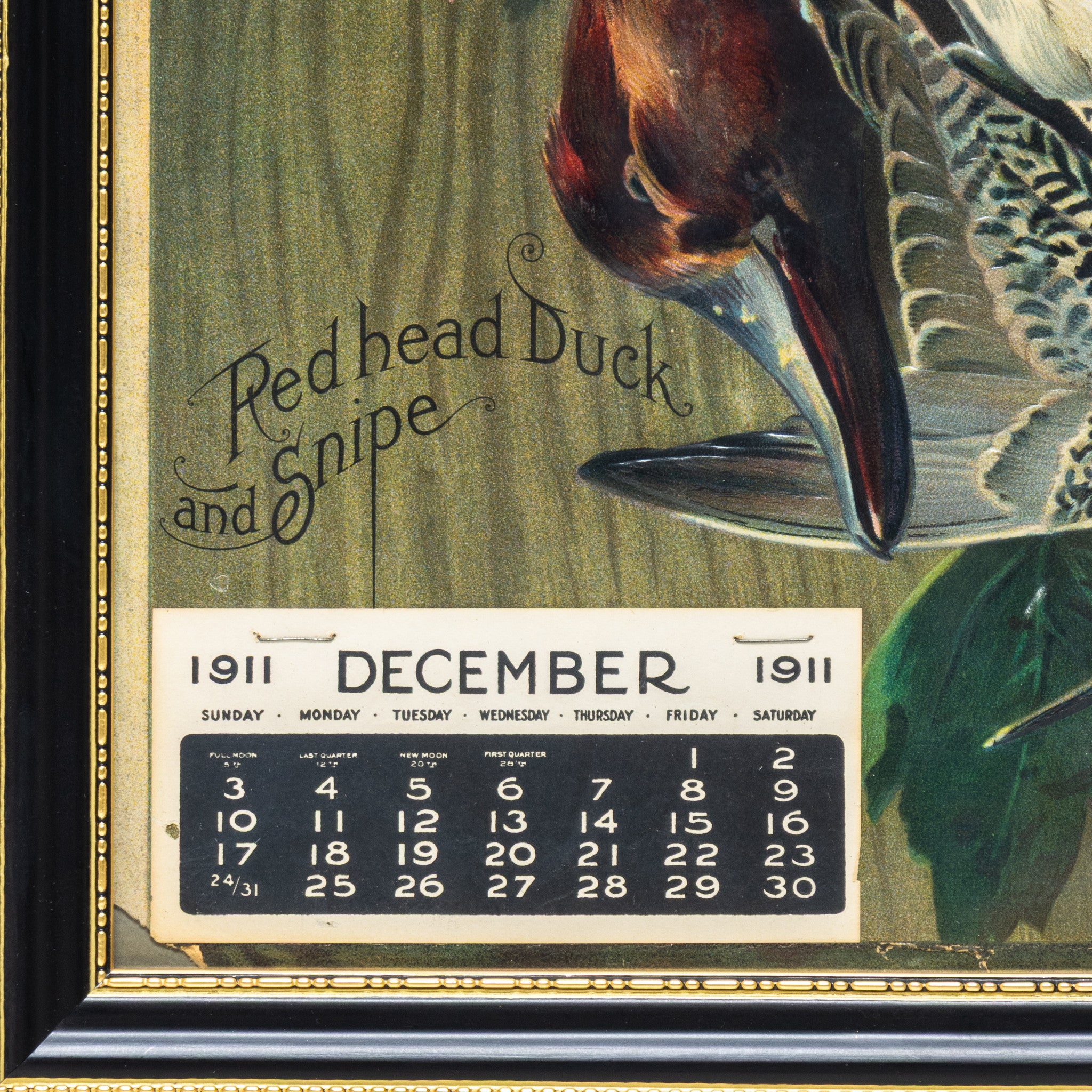 Redhead and Snipe Calendar