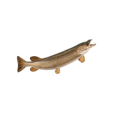 Northern Pike Skin Mount, Furnishings, Taxidermy, Fish