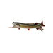 Northern Pike Skin Mount, Furnishings, Taxidermy, Fish