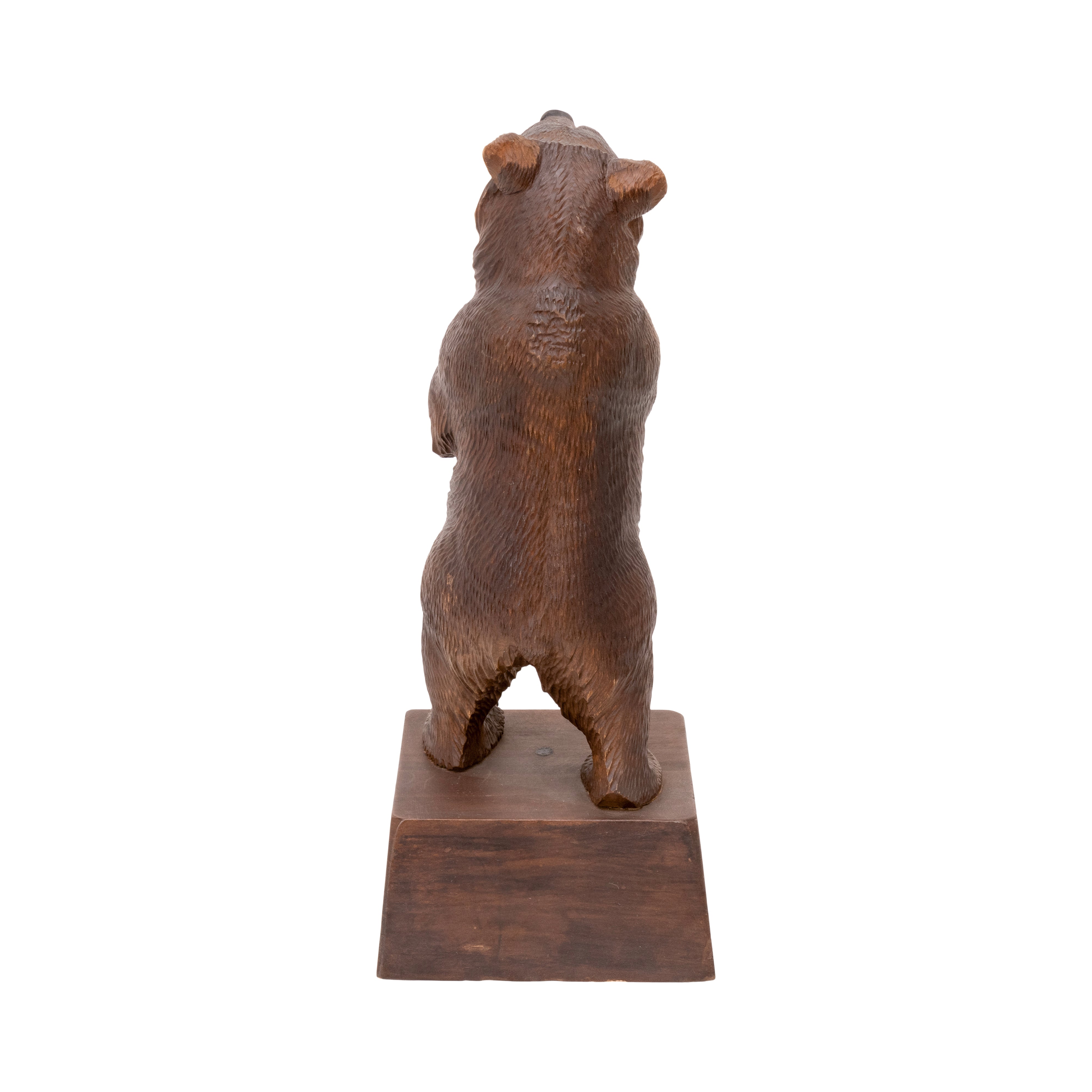 Standing Bear Reading Book