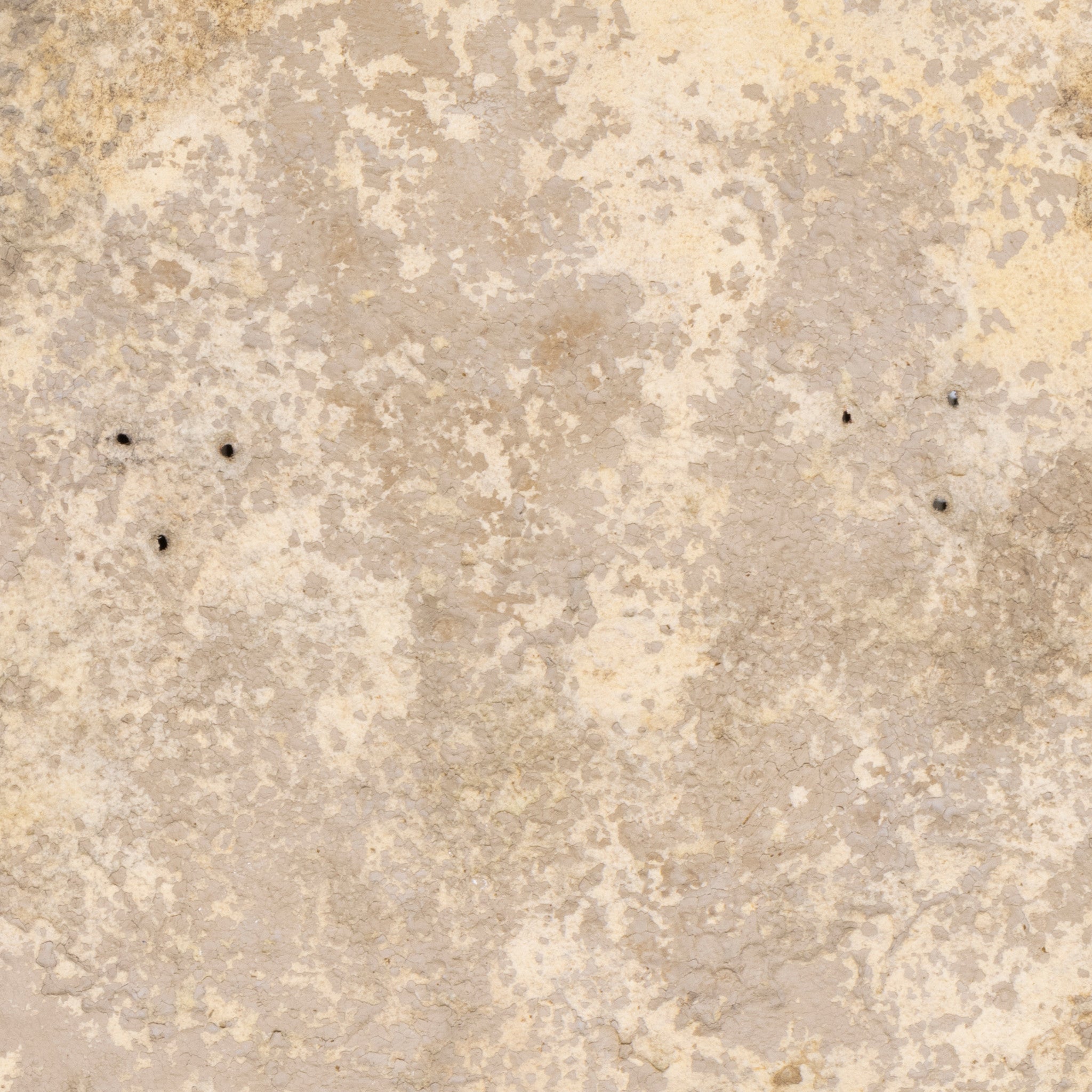 Santo Domingo Buffalo Shield