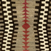 Navajo Ganado