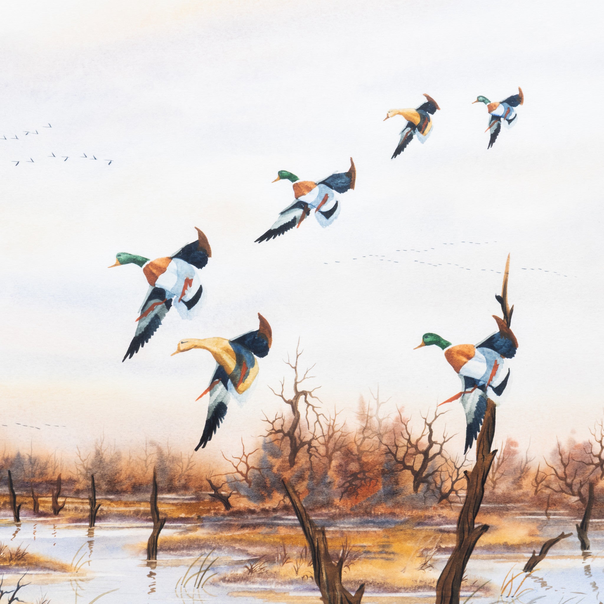 "High Water Mallards" by Rich Urdahl