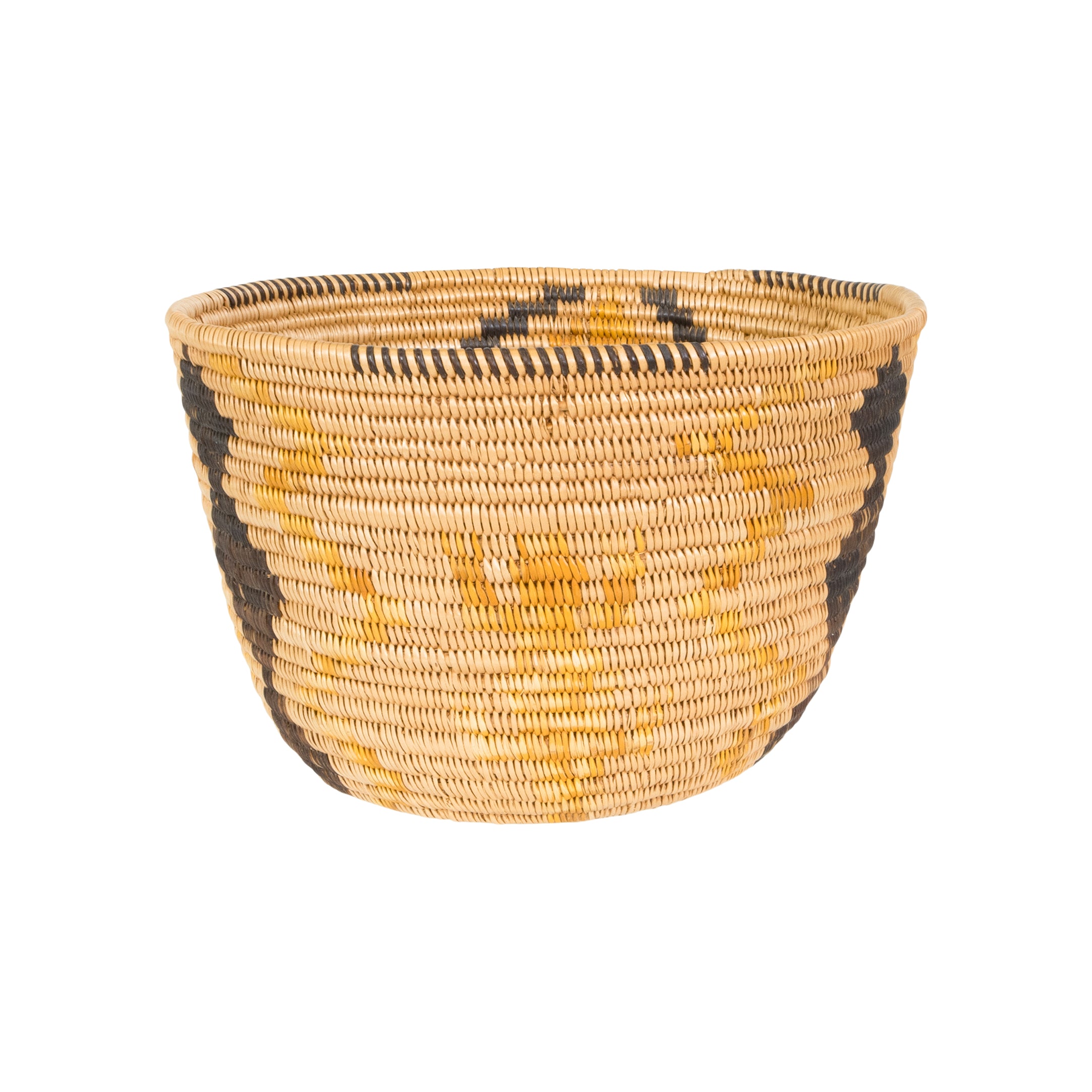 Lizard Pictorial Mission Basket