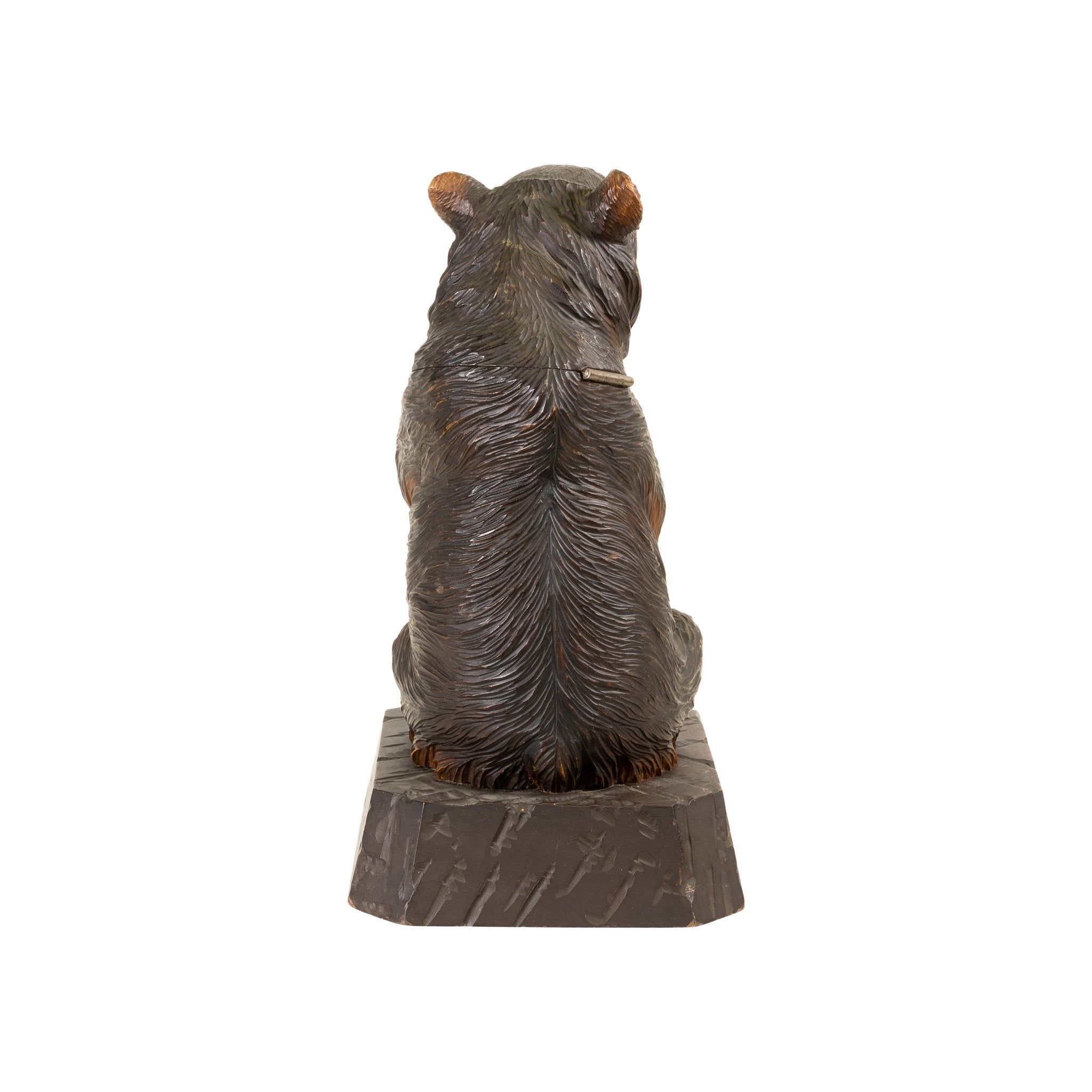 Black Forest Seated Bear Humidor