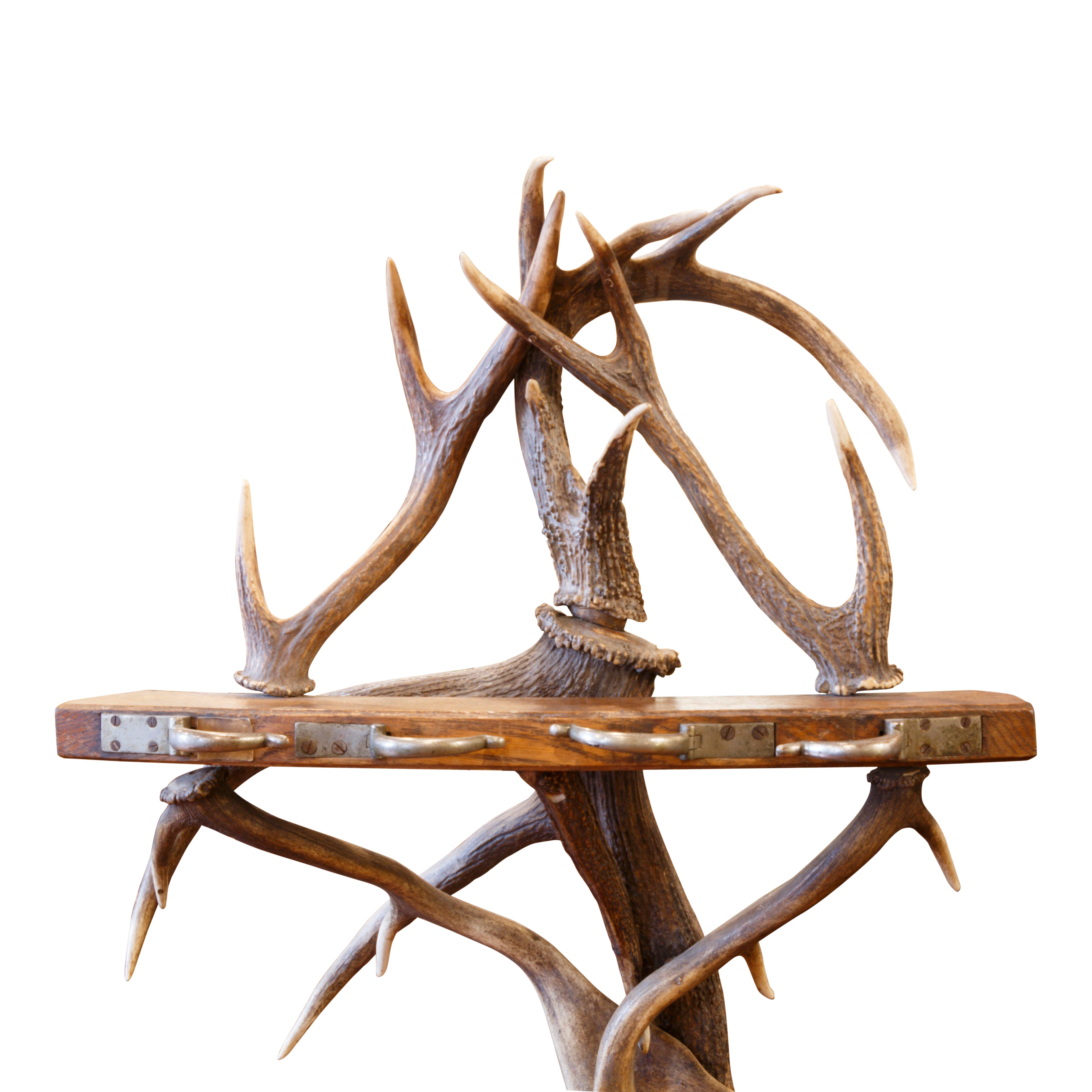 Black Forest Antler Gun Rack