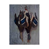 "Barn Door" Hanging Game Paintings by Ferdinand Gray