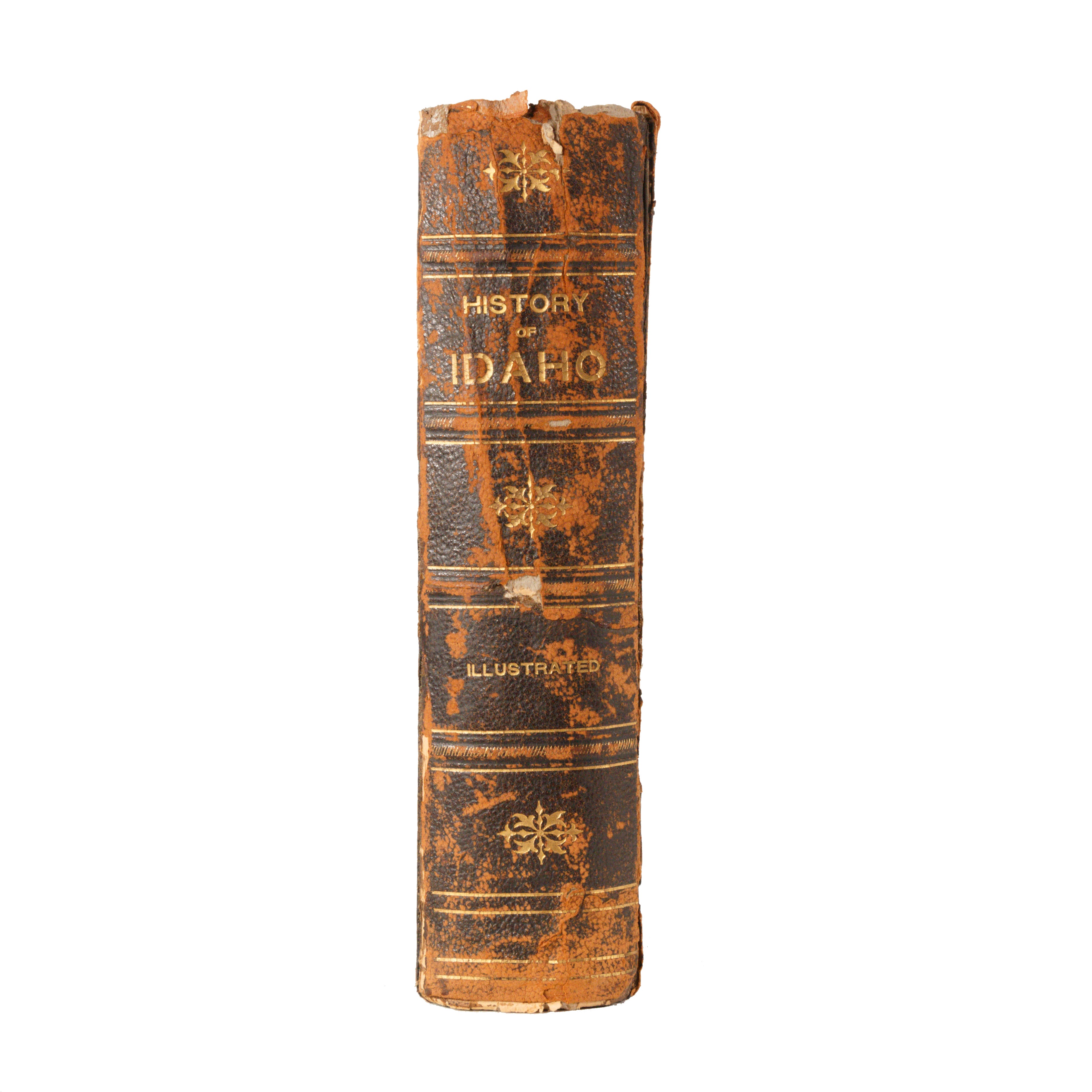 Idaho-The Gem of the Mountains Illustrated Book