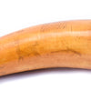 12" Scrimshawed Powder Horn