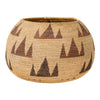 Washoe Basket, Native, Basketry, Vertical