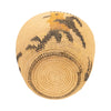 Panamint Basket with Oriole Pictorial