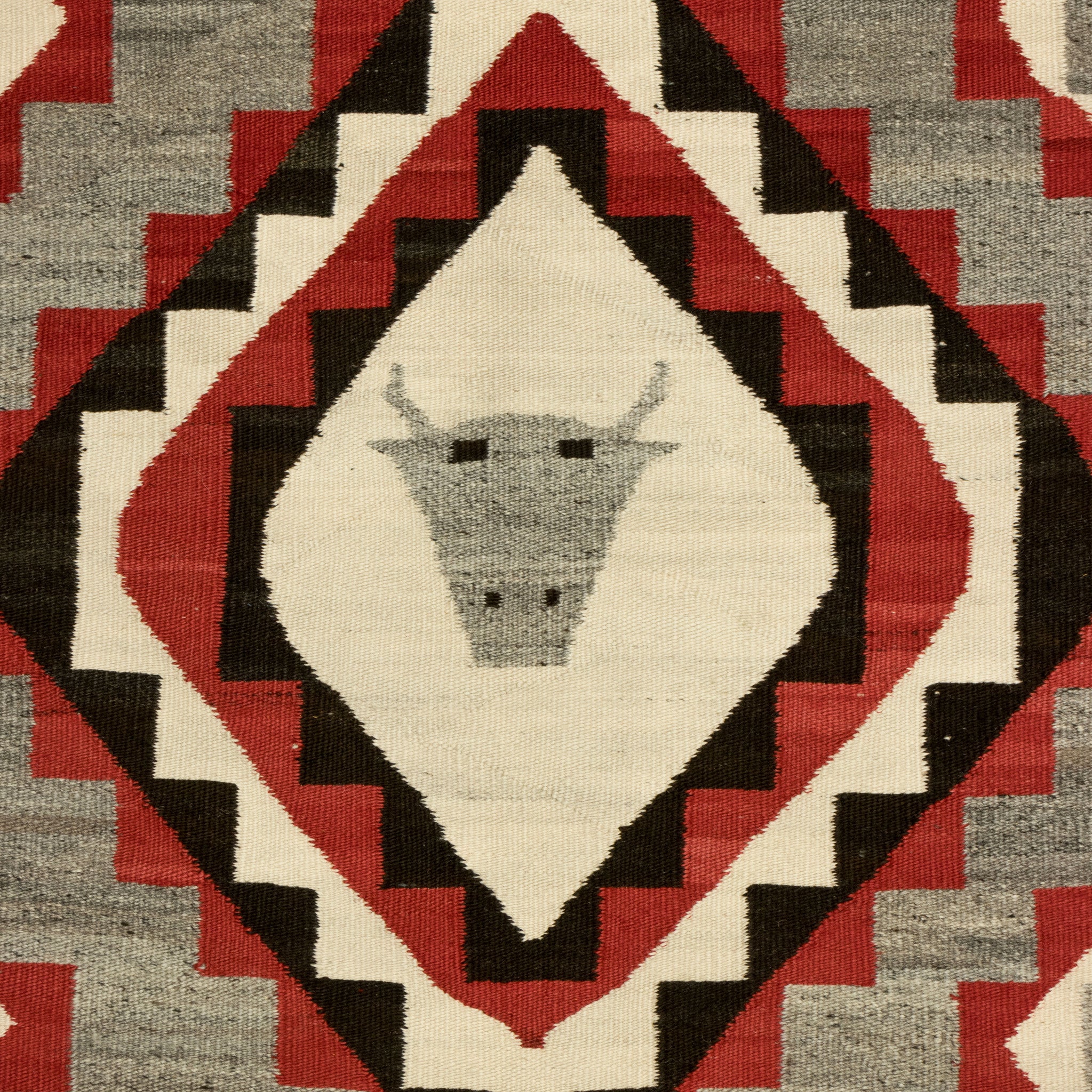 Navajo Ganado Steer Head Pictorial