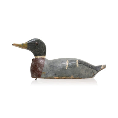 Ward Willilams Mallard Drake Decoy, Sporting Goods, Hunting, Waterfowl Decoy