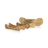 Elm Bark Canoe Collection, Native, Birch Bark, Canoe