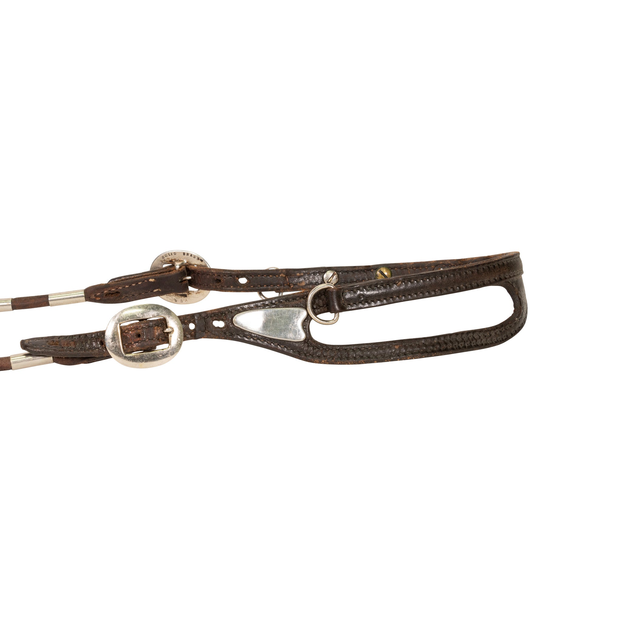 Pictorial Headstall