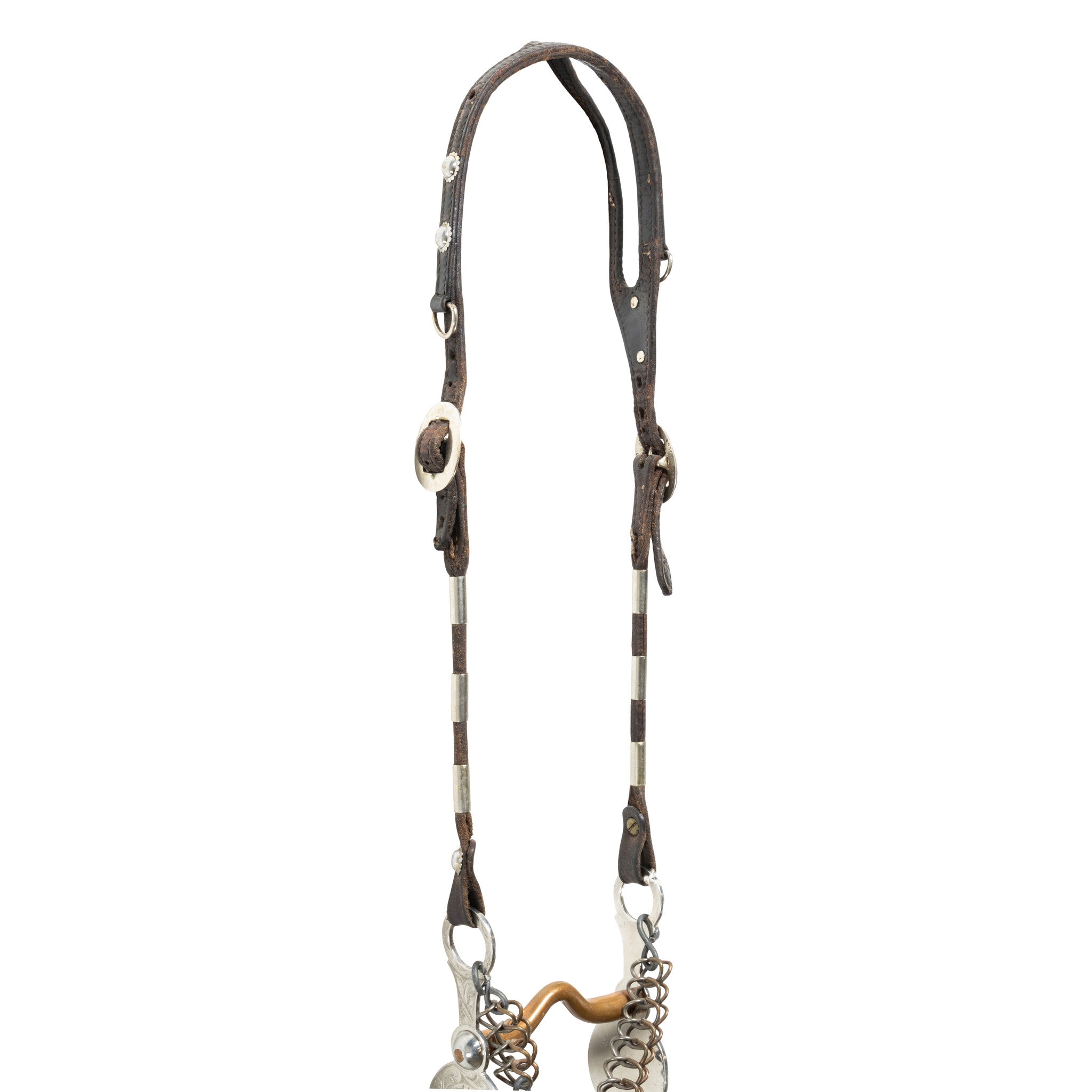 Pictorial Headstall
