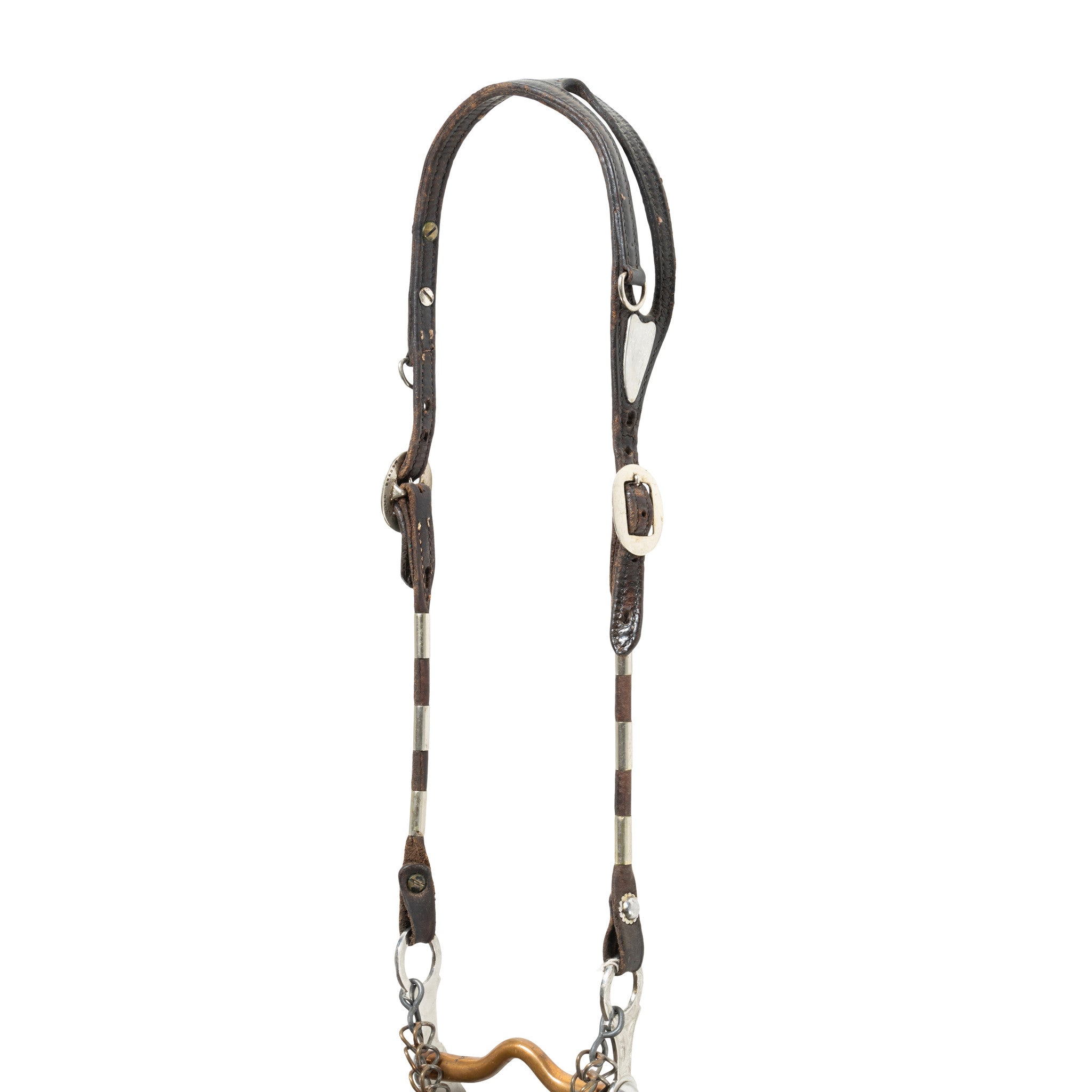 Pictorial Headstall
