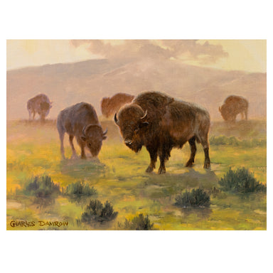 Grazing Buffalo by Charles Damrow, Fine Art, Painting, Wildlife