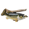 Large Mouth Bass and Perch, Furnishings, Taxidermy, Fish