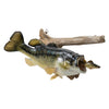 Large Mouth Bass and Perch