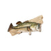 Trophy Large Mouth Bass Skin Mount, Furnishings, Taxidermy, Fish