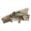 Trophy Large Mouth Bass Skin Mount
