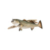 Striper Skin Mount, Furnishings, Taxidermy, Fish