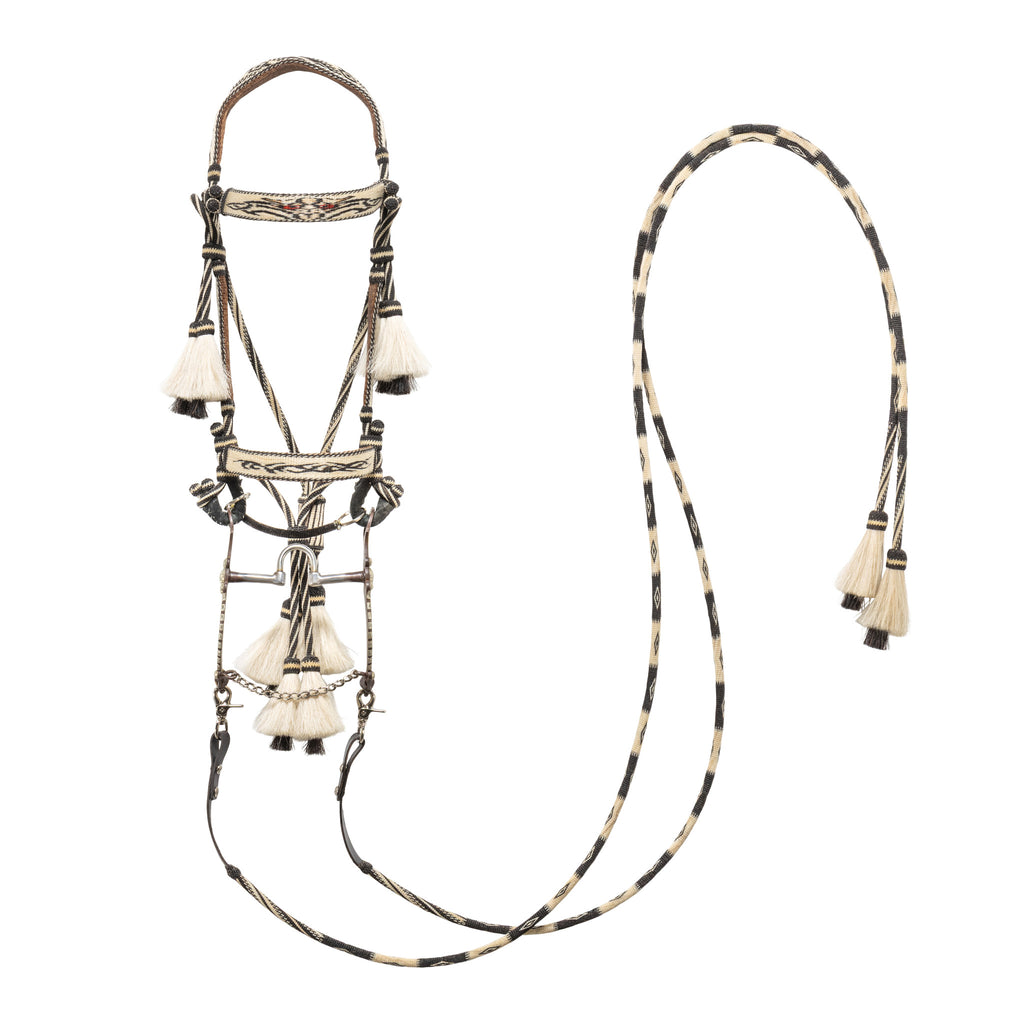 bridle horse gear Deer Lodge Prison Horsehair Bridle — Cisco's Gallery