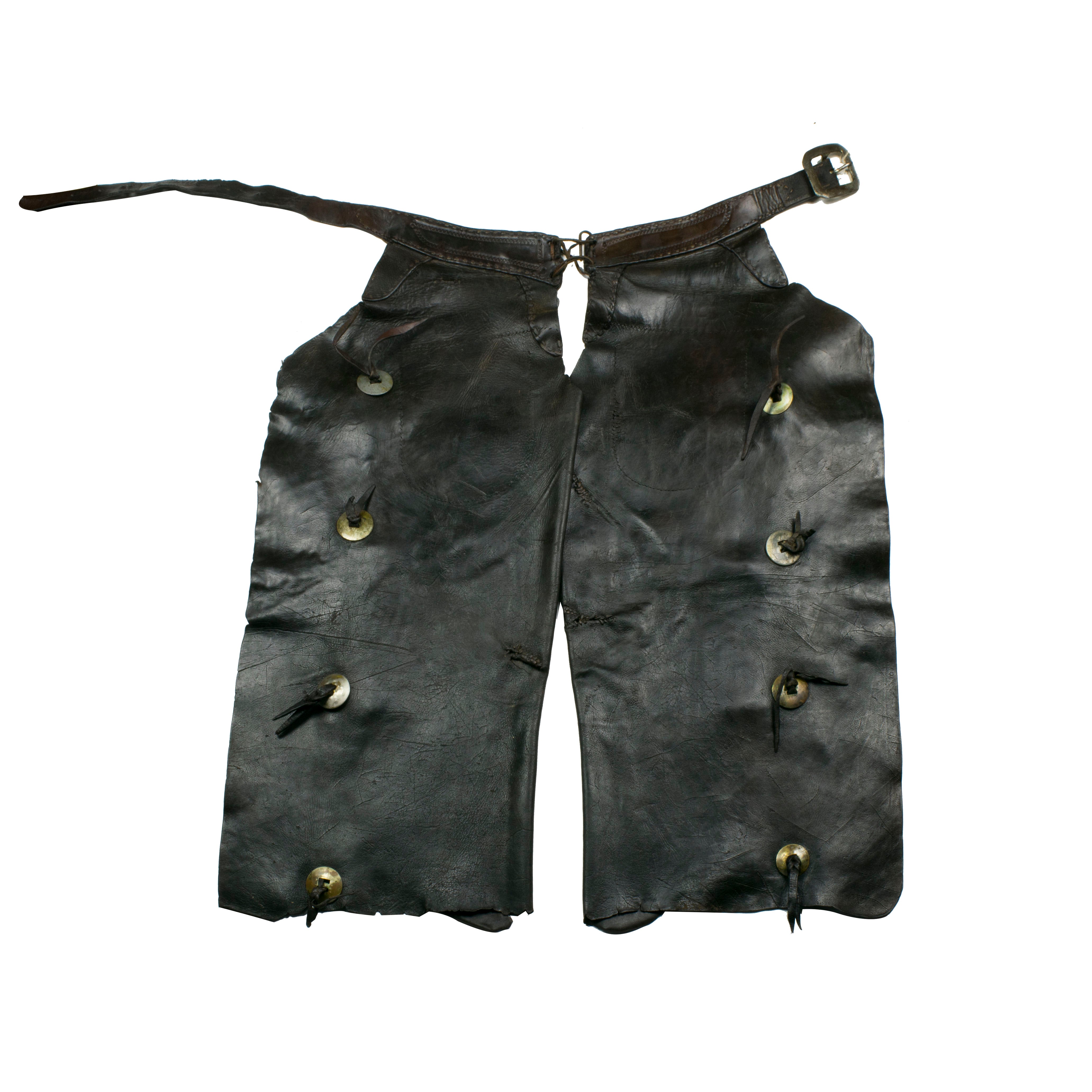 Montana Ranch Chaps, Western, Garment, Chaps