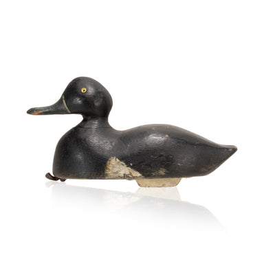 Ringbill Decoy, Sporting Goods, Hunting, Waterfowl Decoy