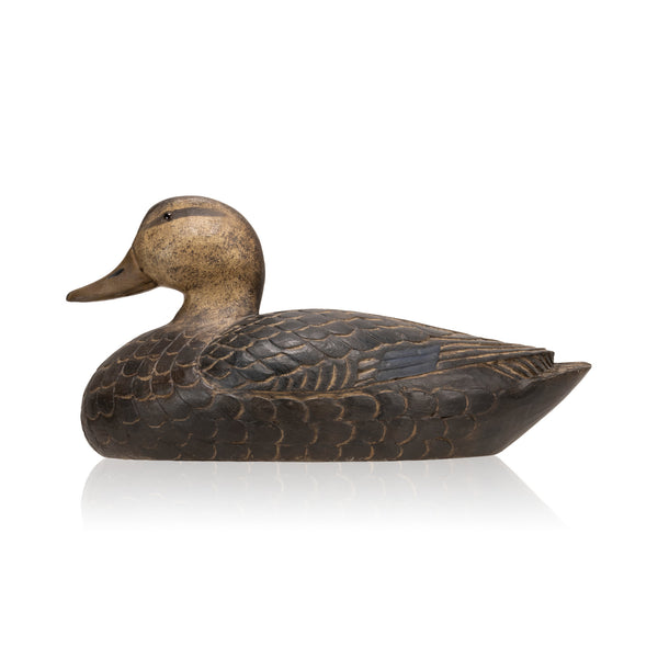 Black Duck Decoy, Sporting Goods, Hunting, Waterfowl Decoy