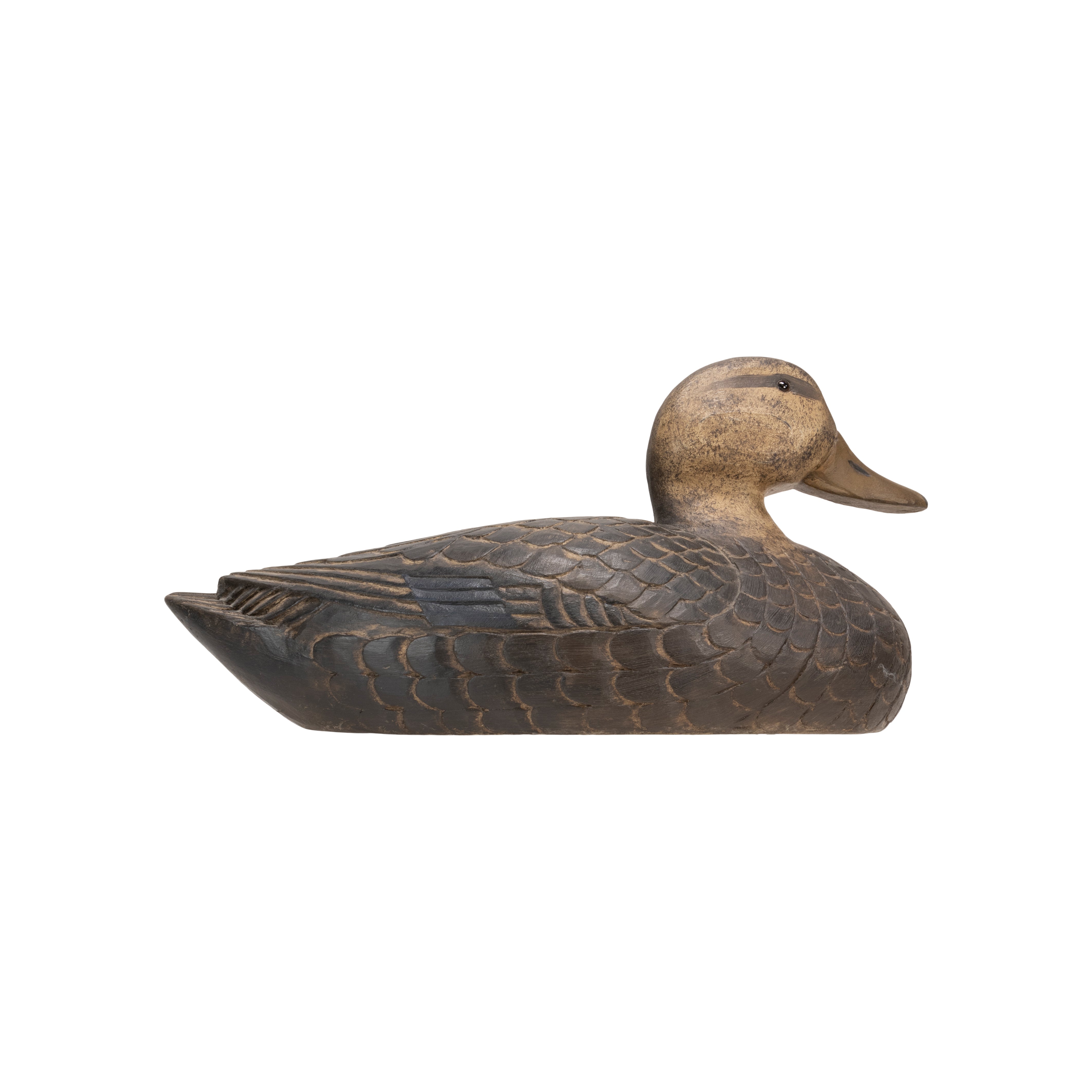 Black Duck Decoy