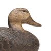 Black Duck Decoy