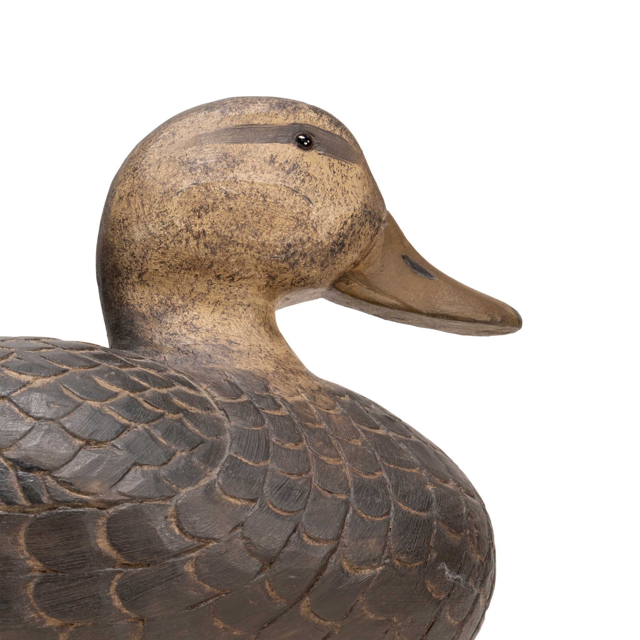 Black Duck Decoy