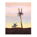 "Sundance Center Pole-Rocky Boys Indian Reservation" by Mario Rabago, Fine Art, Painting, Native American