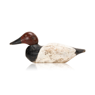 Mason Canvasback Drake Decoy, Sporting Goods, Hunting, Waterfowl Decoy