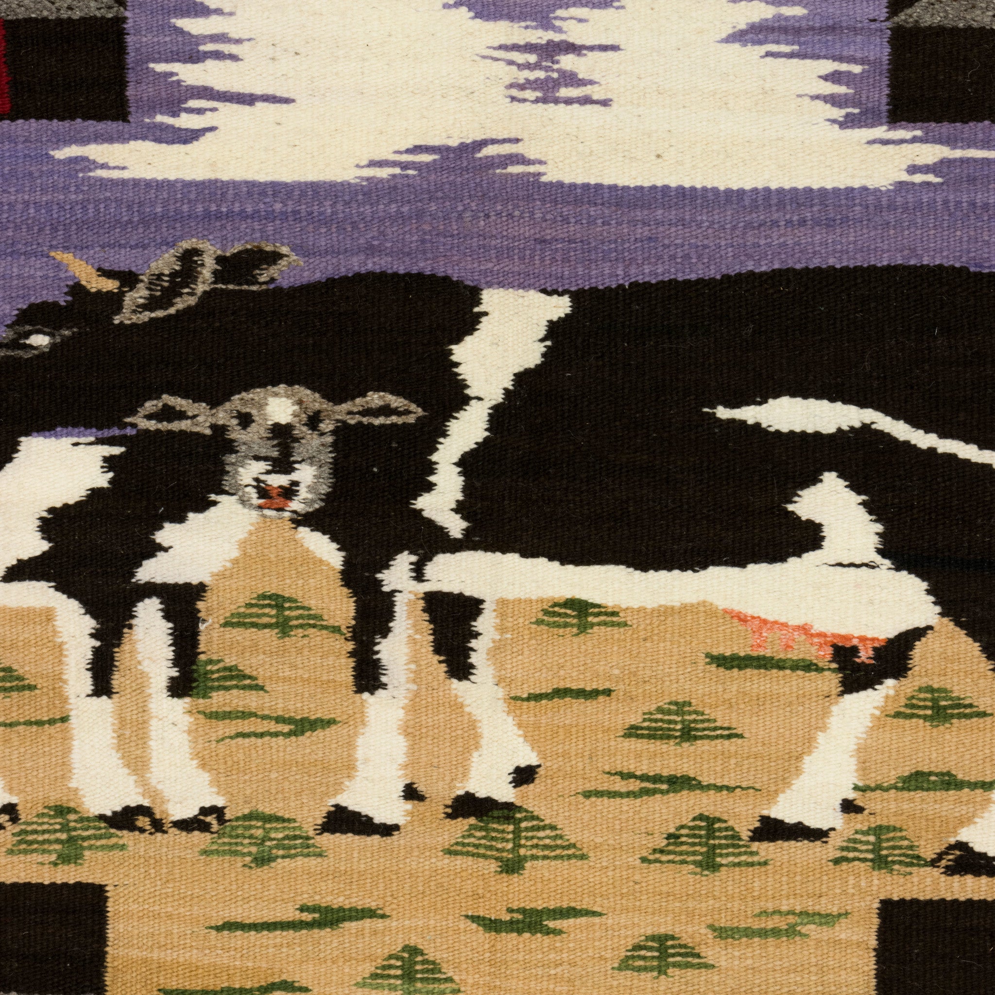 Navajo Cow Pictorial