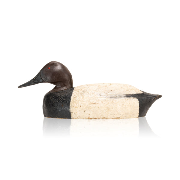 Canvasback Drake Decoy, Sporting Goods, Hunting, Waterfowl Decoy